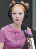 허영지