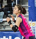 조송화