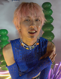 홀랜드
